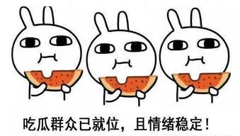呆瓜吃瓜的梗