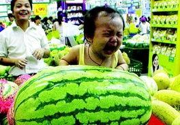 大王小王吃麒麟瓜,欢乐时光尽在此刻