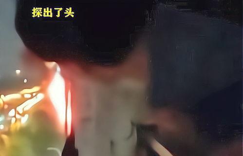 宿舍不关灯吃瓜,共享夜宵时光