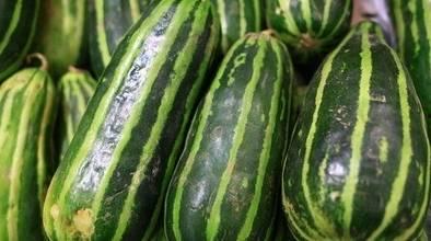 今日有瓜吃吗,揭秘“有瓜吃吗”背后的故事与真相