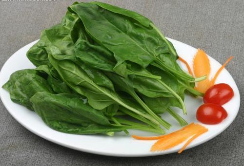 猪肉菠菜占瓜能一起吃吗,三者的营养搭配与食用建议