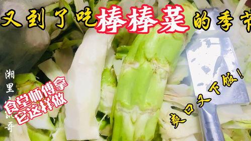 湖州音乐老师吃瓜,湖州音乐老师意外走红,吃瓜瞬间成焦点