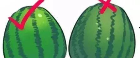 pw圈吃瓜墙,网络舆论场上的风云变幻