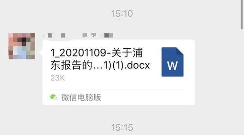 吃瓜还整pdf,吃瓜群众如何轻松制作PDF文件