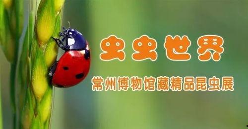 宝宝在家吃瓜视频